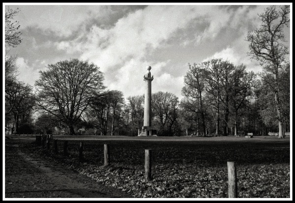 Ashridge Forest Tower