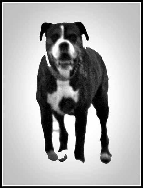 Bruce jumping off the ground