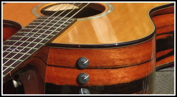 Macasser Ebony Taylor Guitar 3