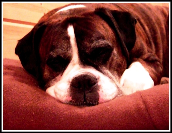 Bruce sleeping on his bed in the log cabin 