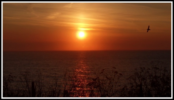 A beautiful sunset with a bird flying in from the right hans side