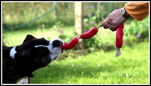 Bruce pulling on his plastic sausages from the left and Sarah's hand pulling from the right