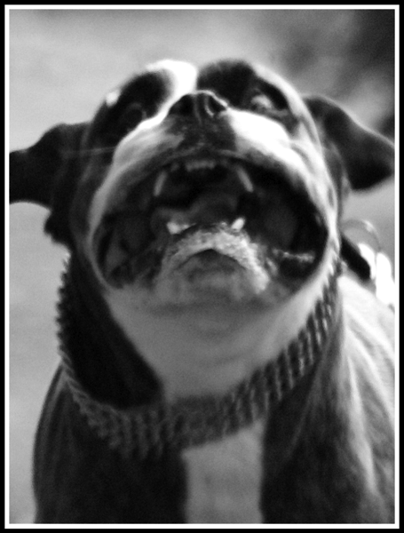 Bruce sprinting face