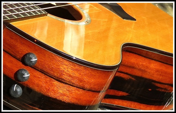 Macasser Ebony Taylor Guitar 1.JPG Macasser Ebony Taylor Guitar 1