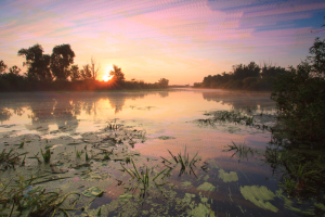 iStock_000033541504Small