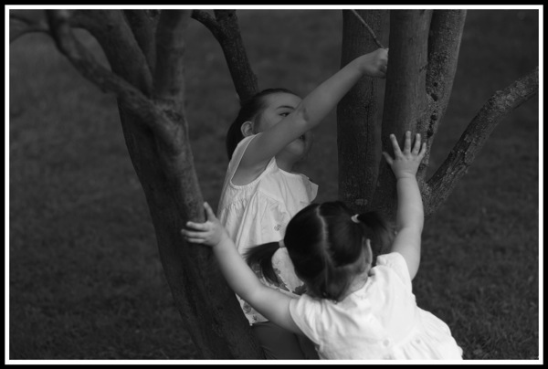 Georgia pushing over the tree