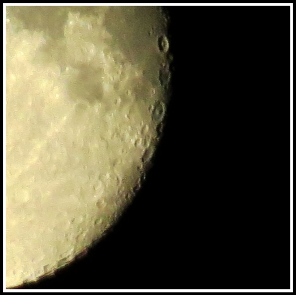 A square photo of the right hand side of the moon