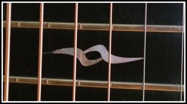 Taylor GAWS Fretboard