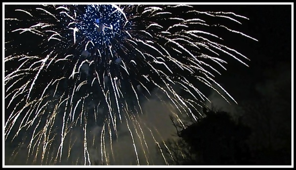 a photo of a firework spraying out over the dark sky
