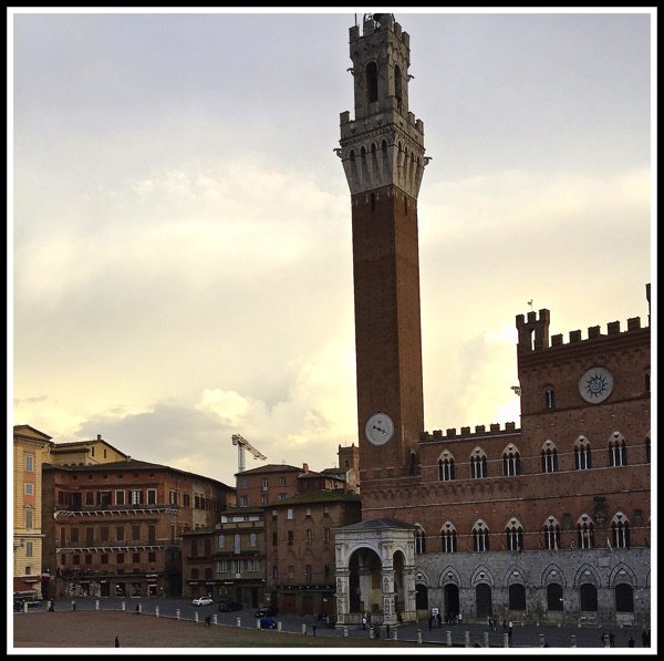 Siena Campo