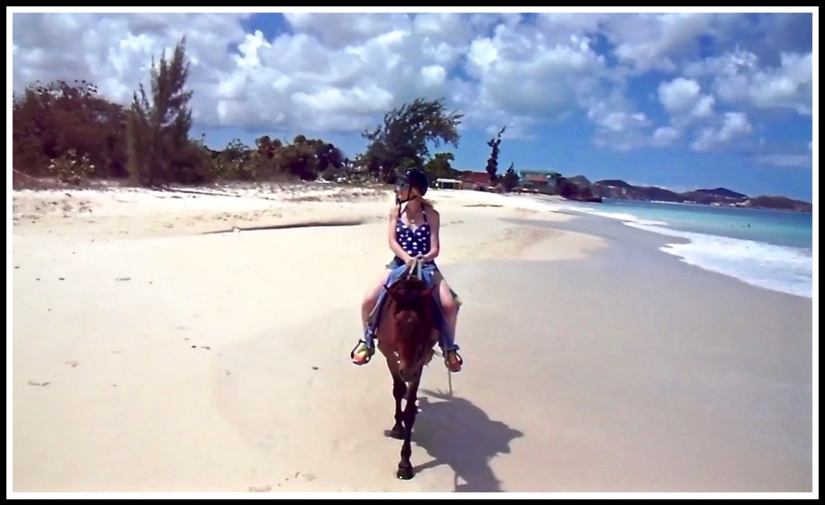 Sarah on her horse looking inland as she rides across the stunning beach