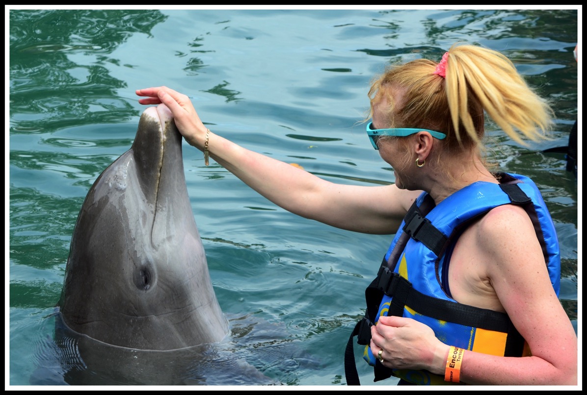 Sarah on the right touching the dolphins nose