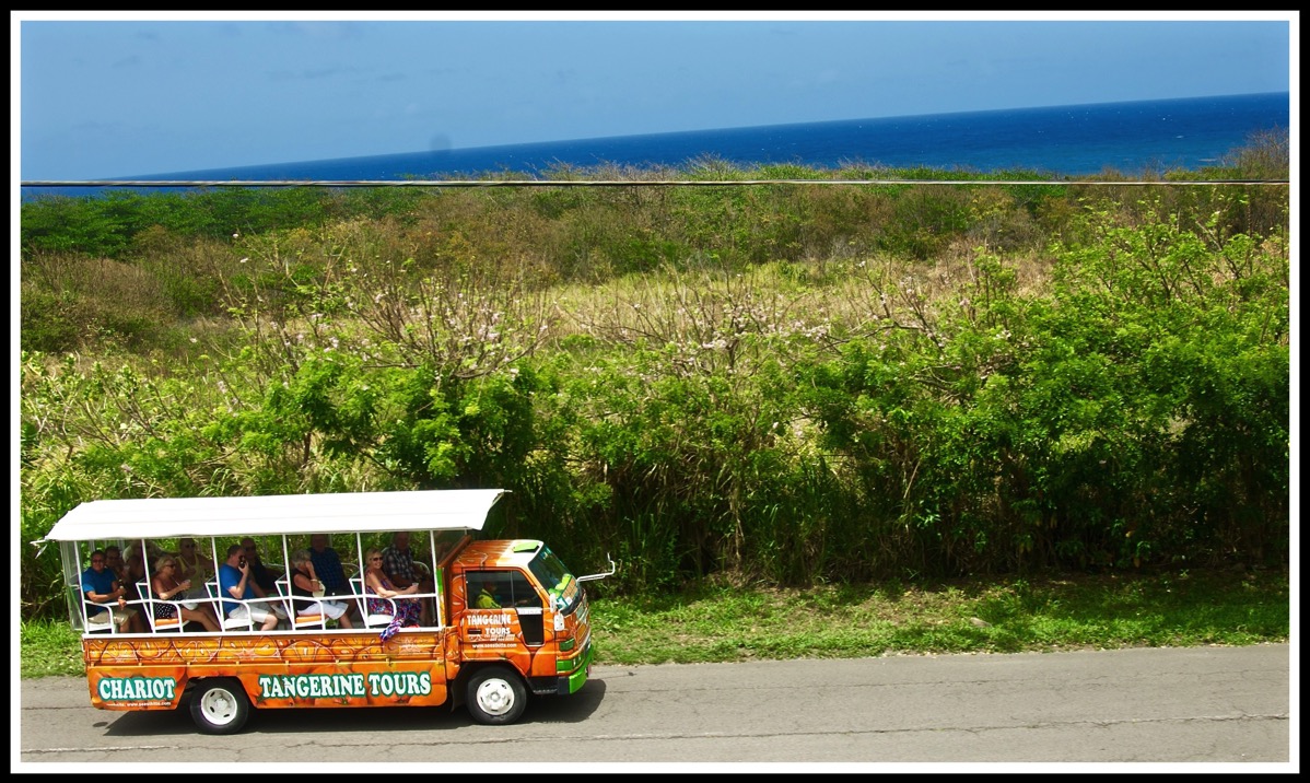 St Kitts Bus