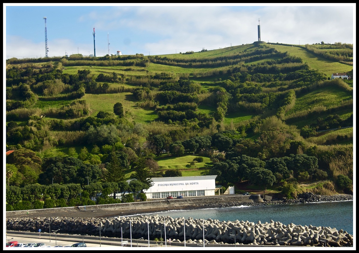 Beautiful mossy green gill with a house/centre inbedded within