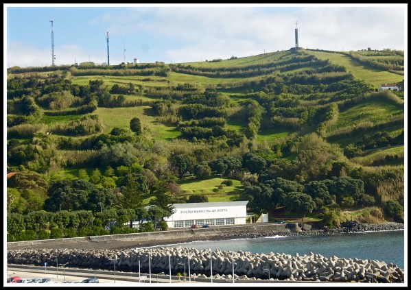 Beautiful mossy green gill with a house/centre inbedded within