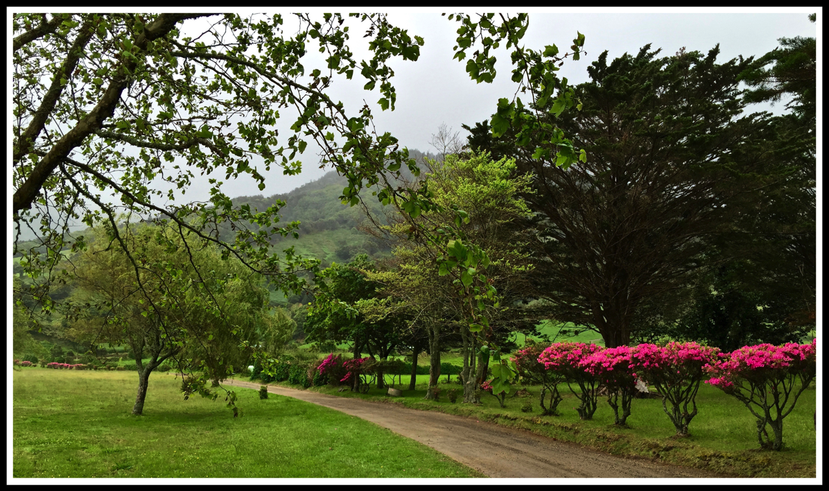 A path running from right to left through grass fields alined with trees