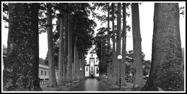 Sao Miguel church through the trees