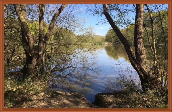 Photo of the stew pond taken between 2 trees 