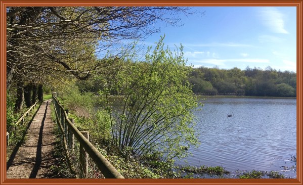 Photo of the big stew pond with a fenced gravel path along the left of the photo