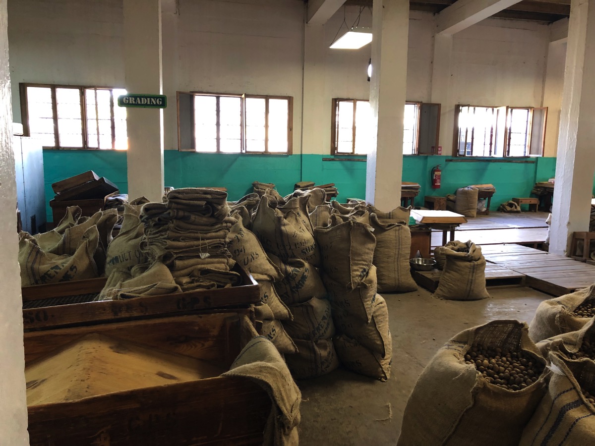 Inside Nutmeg factory