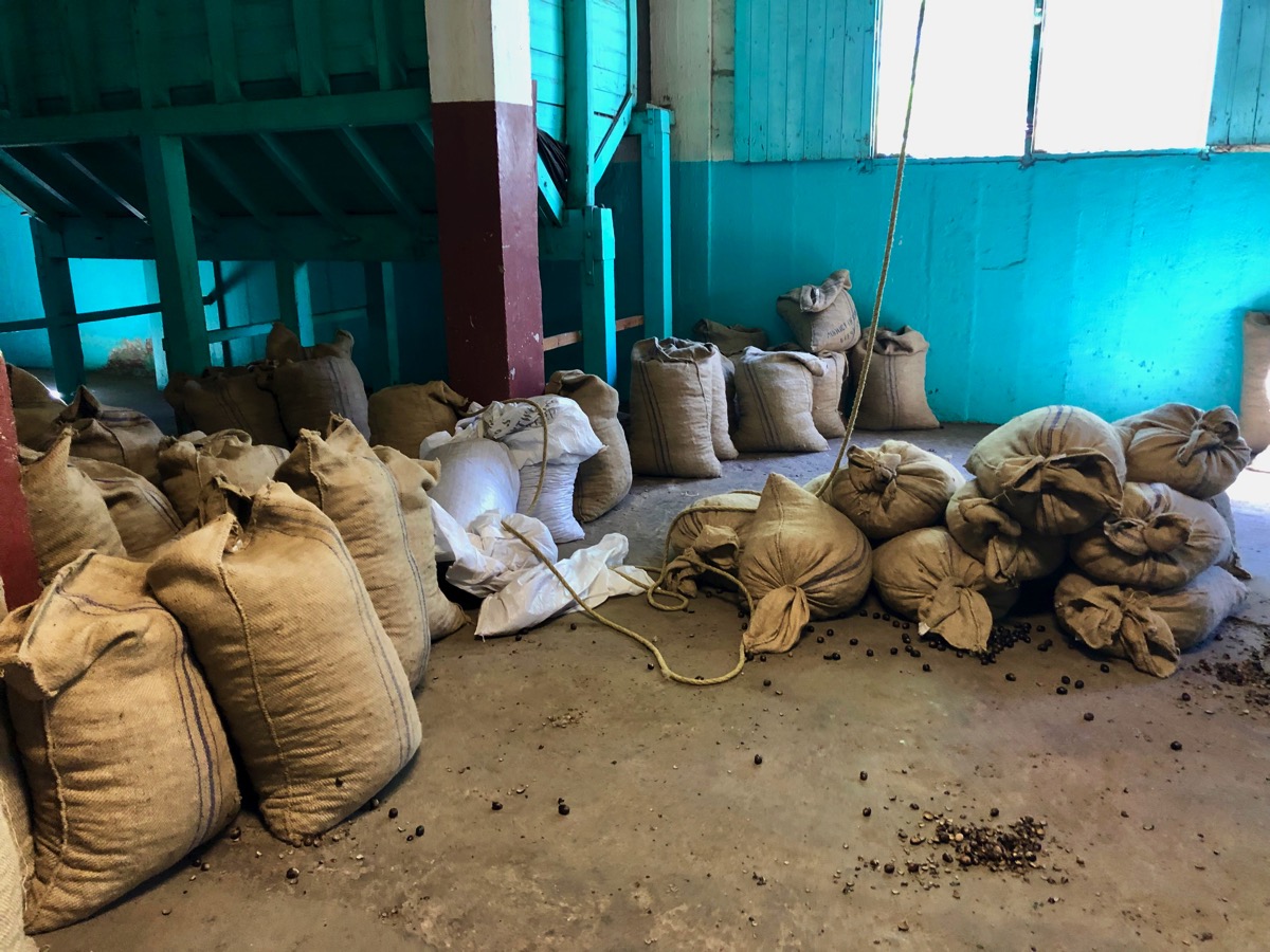 Inside nutmeg factory 3