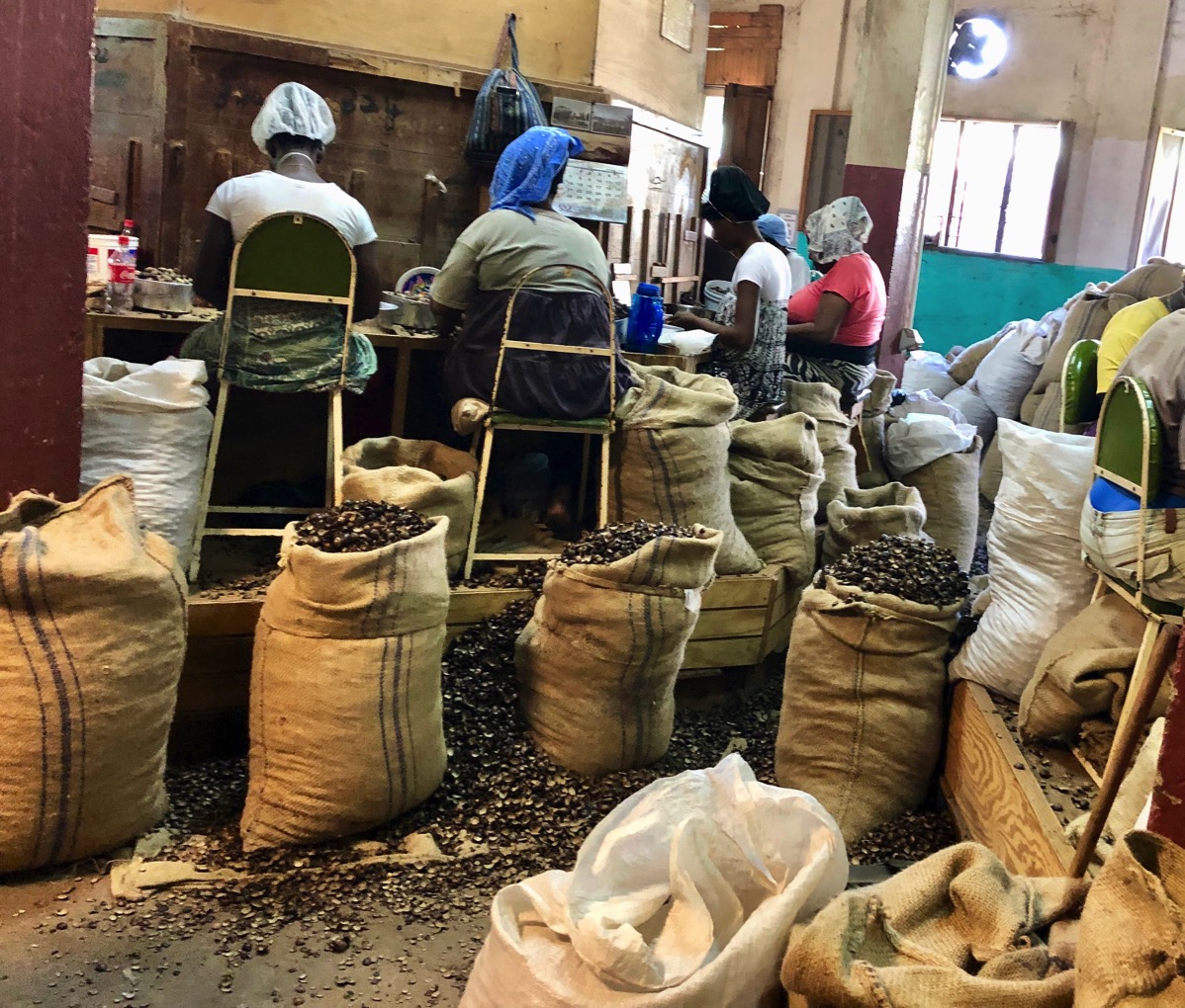 Inside nutmeg factory 4