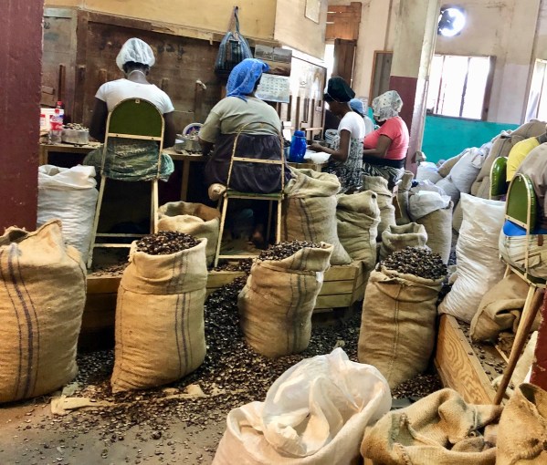 Inside nutmeg factory 4