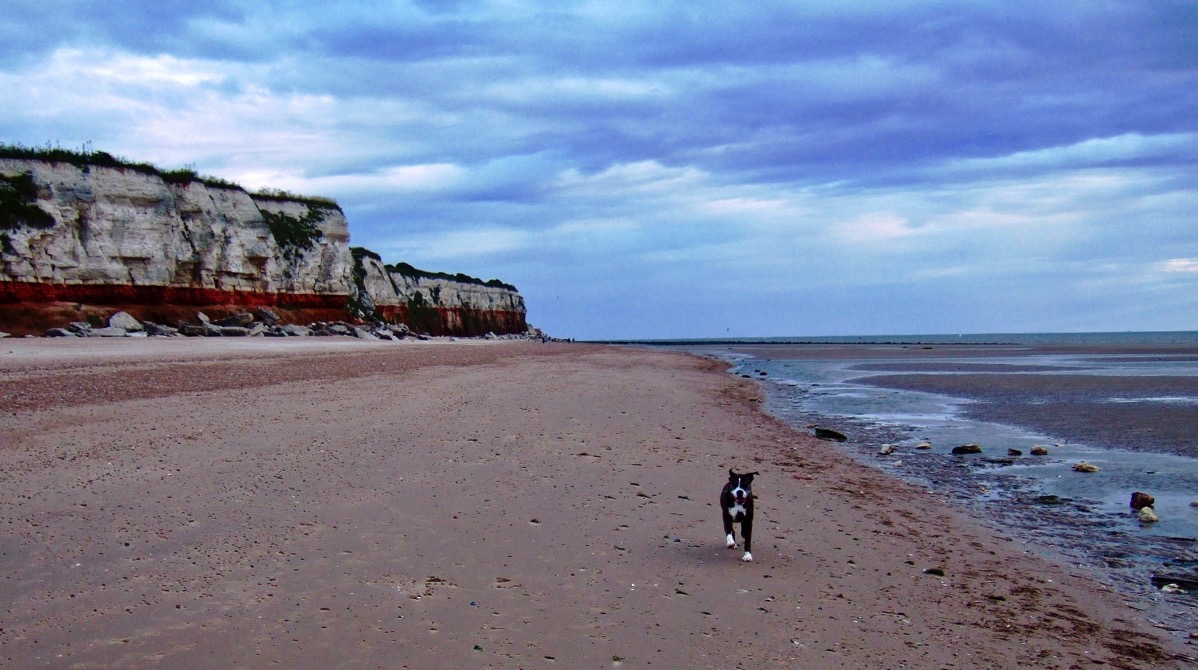 Bruce running towards us with the sea on the right, cliffs on the left and a big sandy beach which is empty in the centre