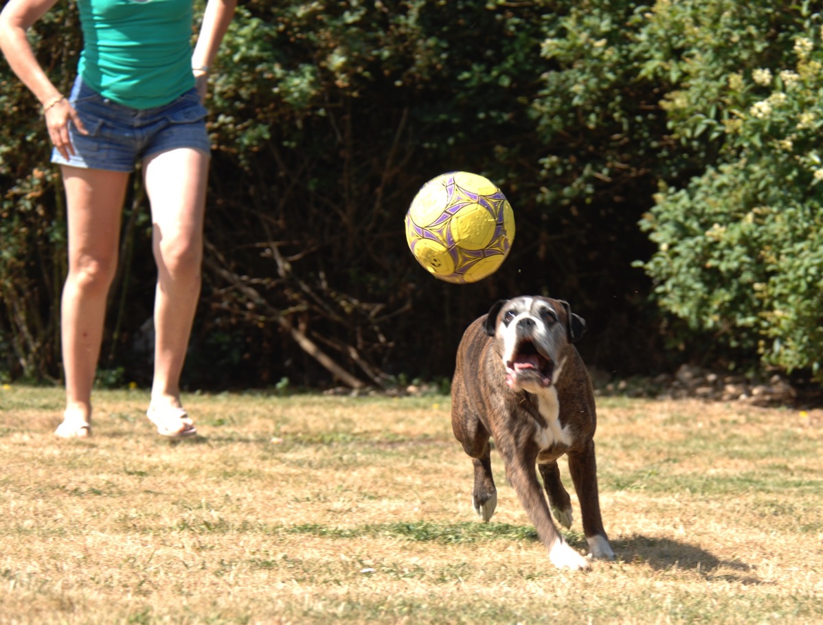 Bruce running with a worried face trying to catch the ball just above his head. Sarahs legs are in the back left of the photo