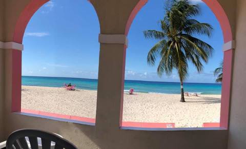 View of a barbados beah with palm tree from a terrace looking through arches