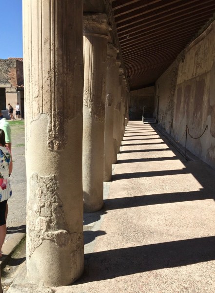 A row of clumns on the left and a narrow path leading straight forward