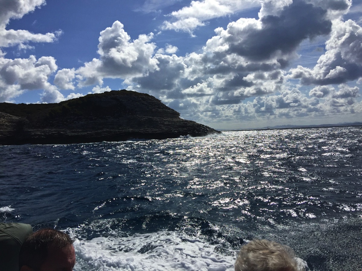 Back on the waves with a island sticking out of the water.jpg