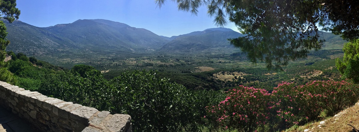 Breathtaking panorama of the rolling hills and olive trees 