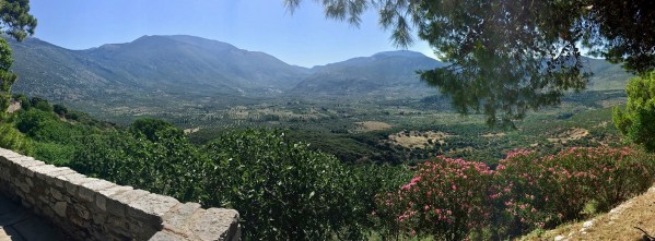 Breathtaking panorama of the rolling hills and olive trees 