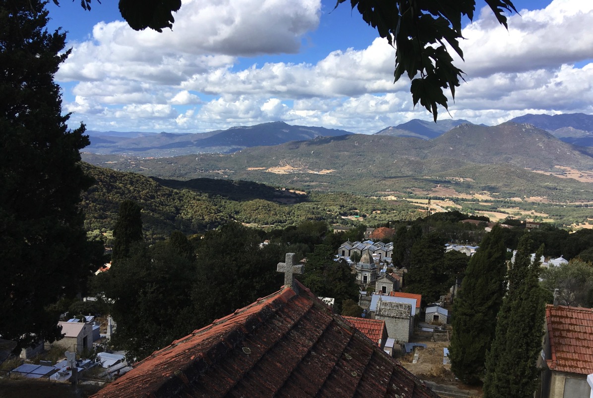 Beautiful view of Corsica from under a tree