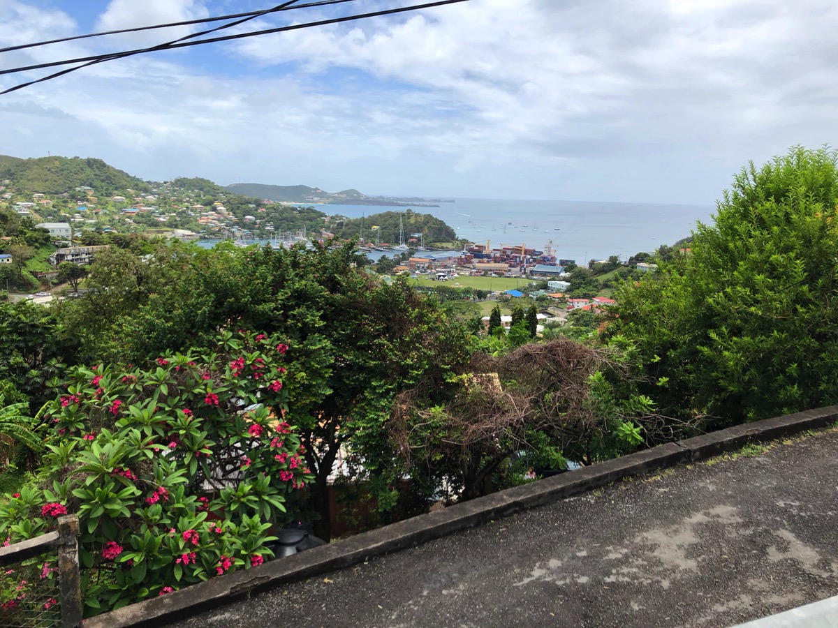 Beautiful green landscape of trees and rolling hills