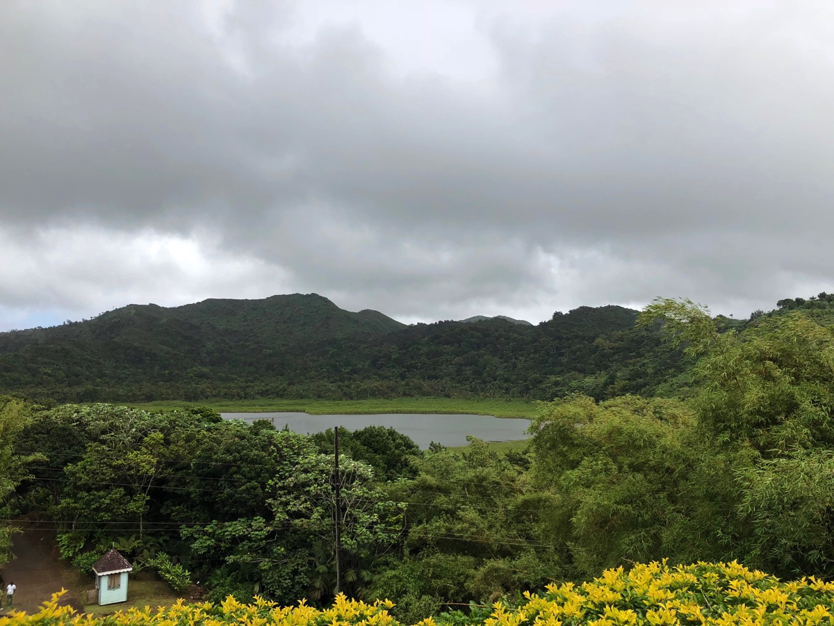 Beautiful green landscape of trees and rolling hills