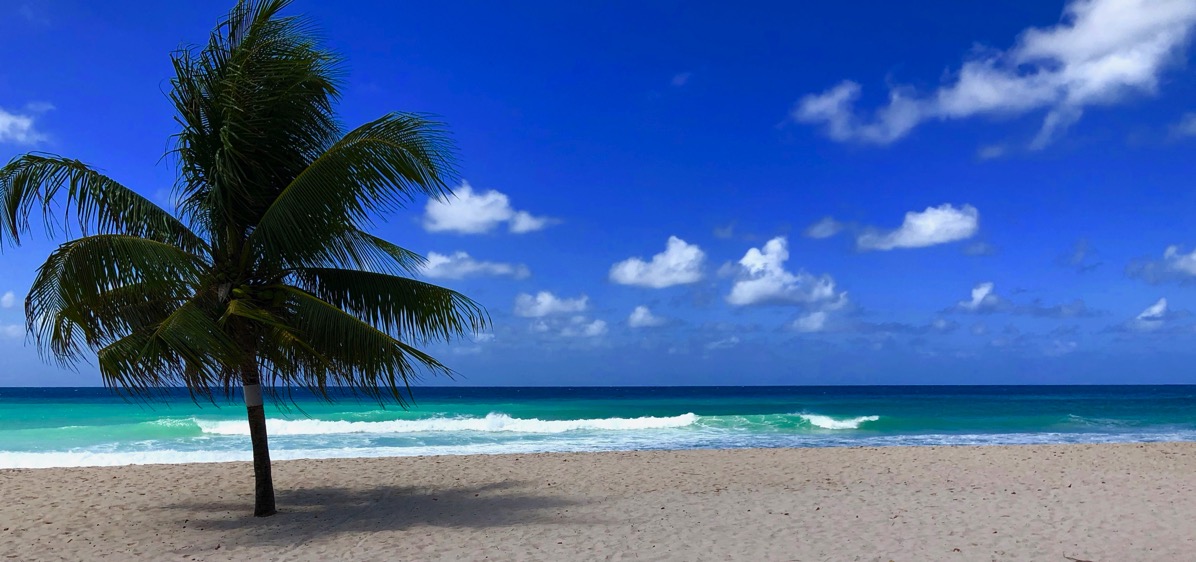 Palm tree on the left with an empty picture postcard view of the caribbean beach and sea