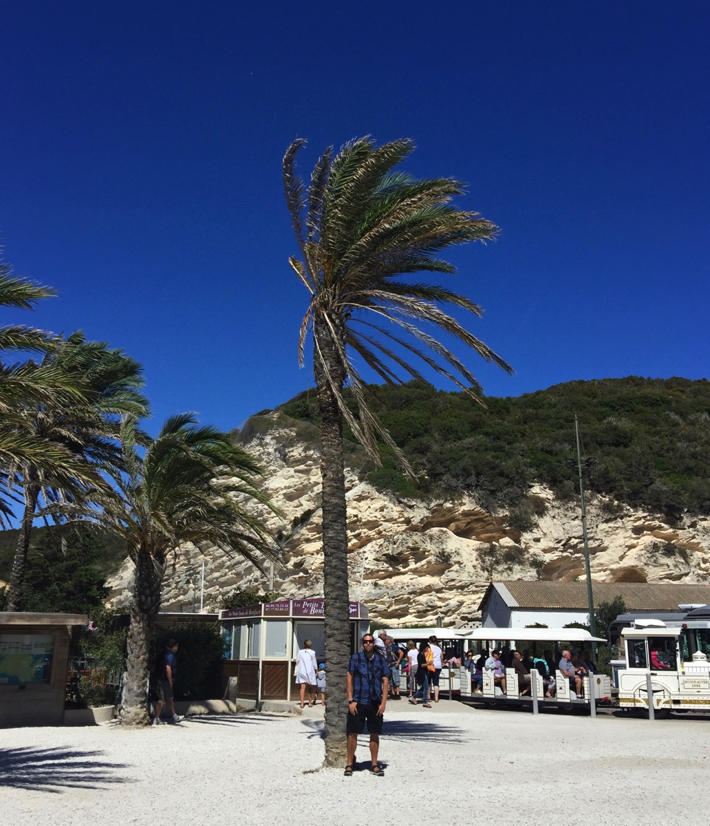 Me stood under a huge palm tree