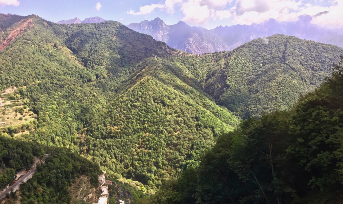 rolling hills from the coach