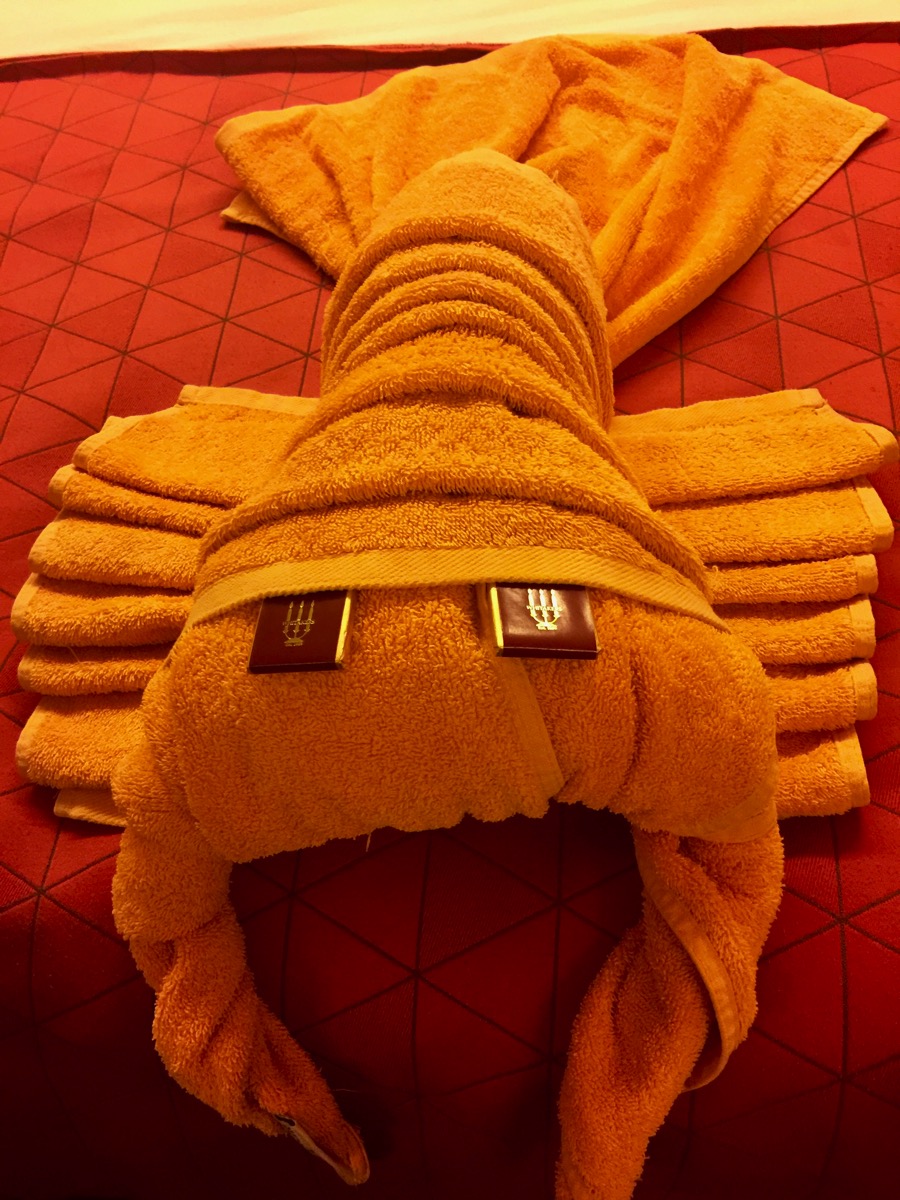Towel folded lobster looking at the camera