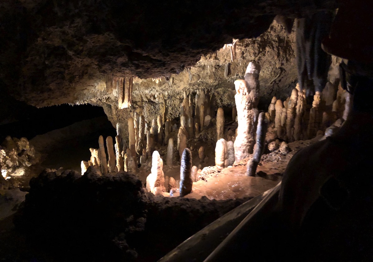 view of Harrison's cave in the dark with mood lighting