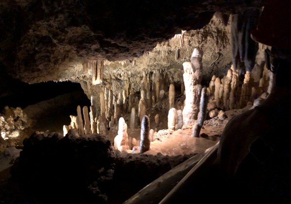 view of Harrison's cave in the dark with mood lighting
