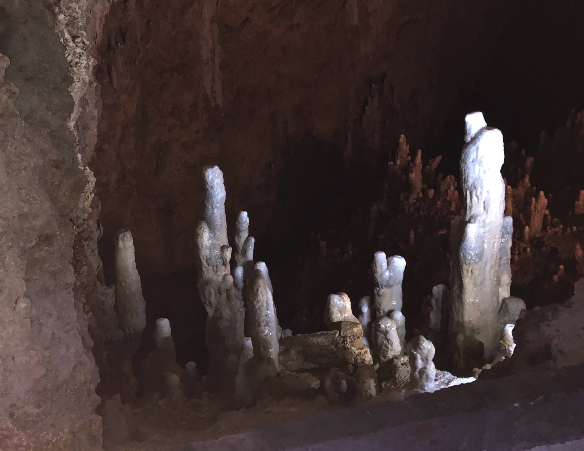 view of Harrison's cave in the dark with mood lighting