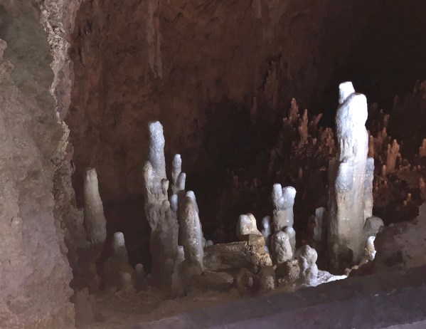 view of Harrison's cave in the dark with mood lighting