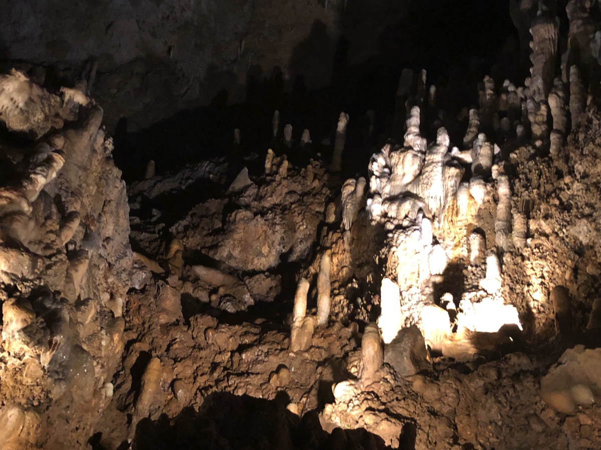 view of Harrison's cave in the dark with mood lighting