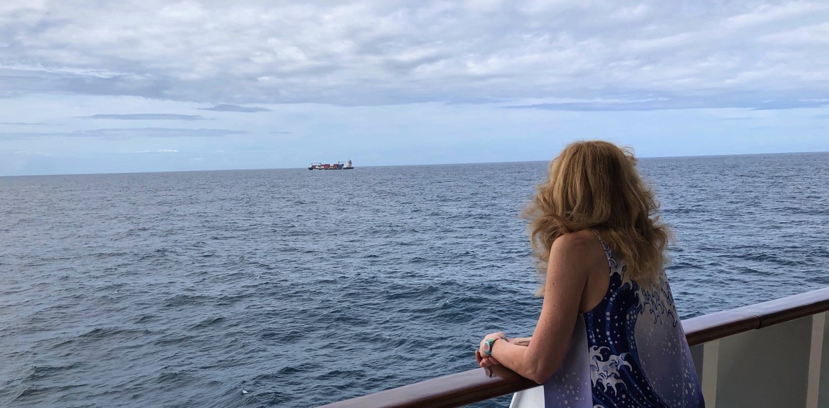 Sarah stood on the deck looking out to sea with a cargo ship in the far distance
