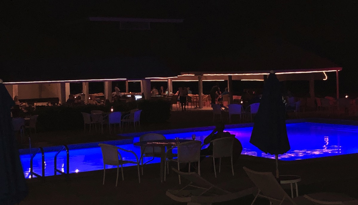 Southern palms by night