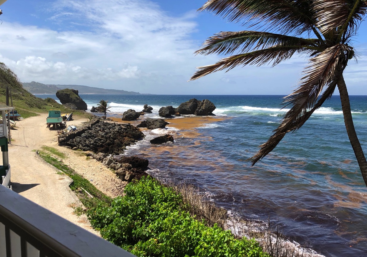 View from the restaurant