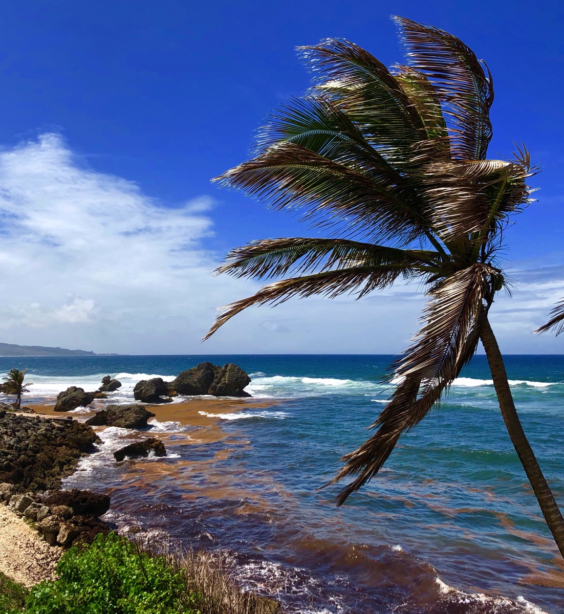 View from the restaurant